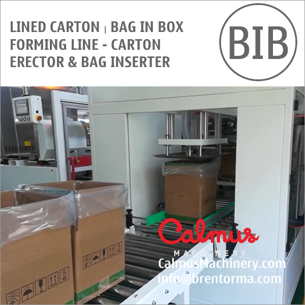 Carton Erector And Bag Inserter Lined