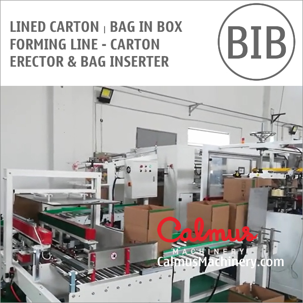 Carton Erector and Bag Inserter - Lined Carton Bag in Box Forming Line