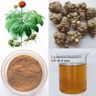 Notoginseng Extract 80%Notoginsenosides