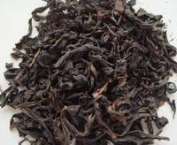 Oolong Tea Extract