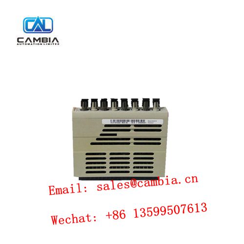 1C31189G01