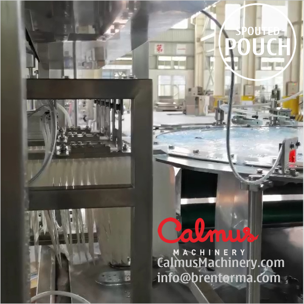 Spouted Pouch Filler And Capper