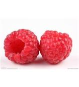 Rubus idaeus