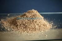 Wood chip