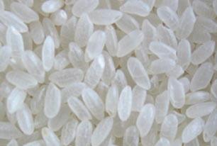 Grain Rice, Cereal, Bean, Maize