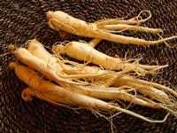 American Ginseng Root P.E. Extract 