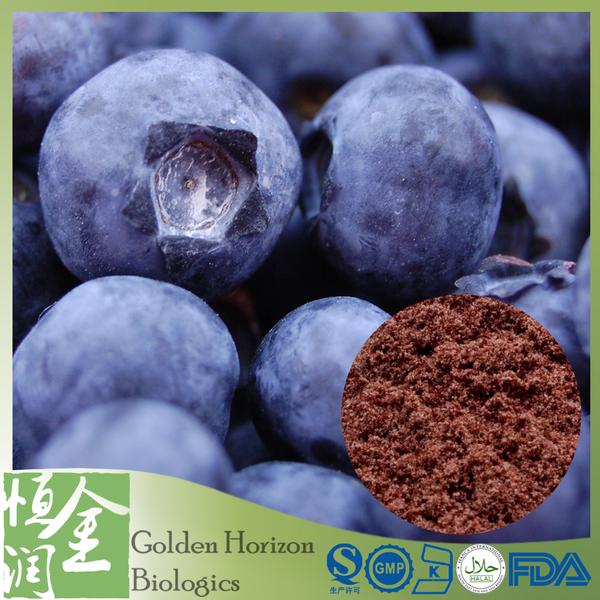 High Quality Blueberry Extract Powder 