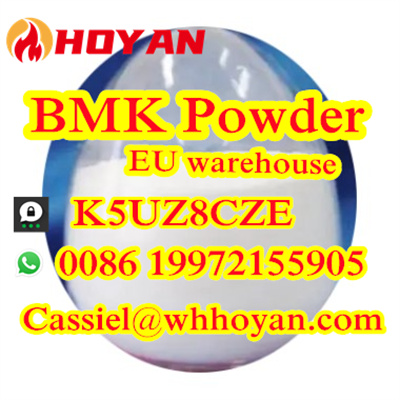 5449 12 7 BMK Glycidic Acid