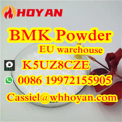 5449 12 7 BMK Glycidic Acid