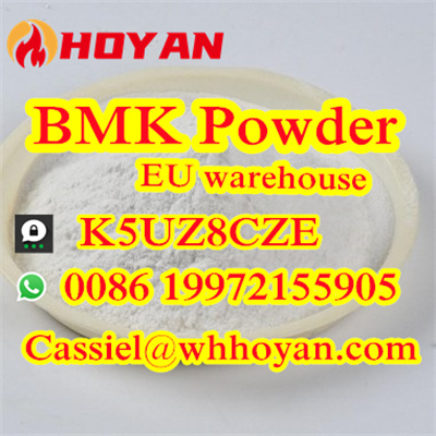 5449-12-7 BMK Glycidic Acid (sodium salt) powder