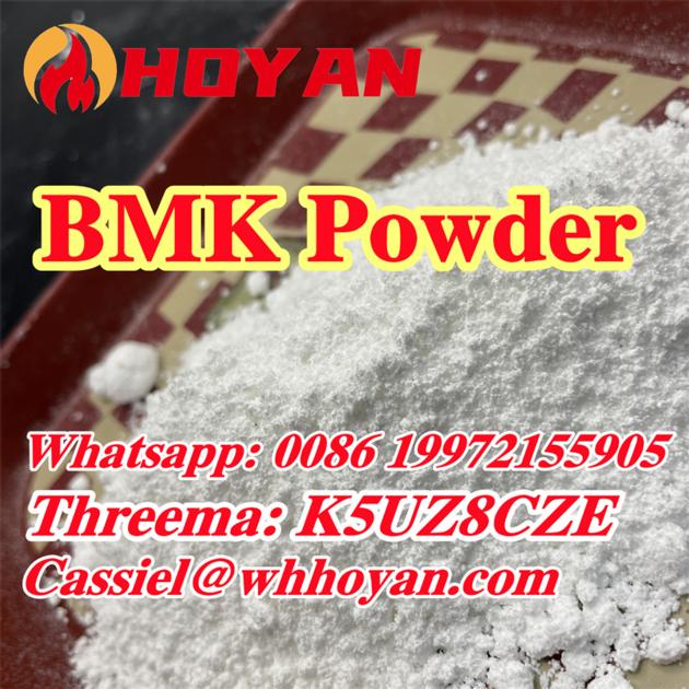 CAS 5449-12-7 BMK Powder glycidic acid sodium with customs 100% safe and fast delivery