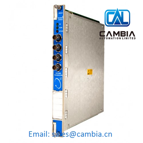 Bently Nevada	3500/25-01-05-01	Email: sales@cambia.cn