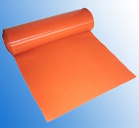 silicone sal