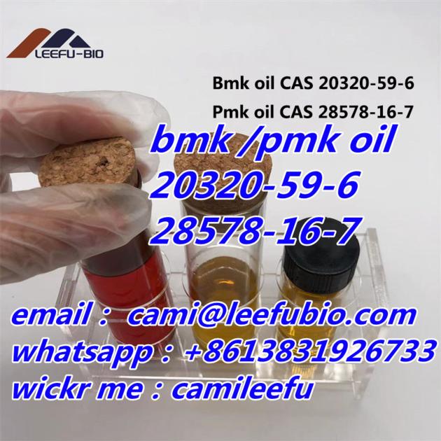 Pmk Oil Europe Warehouse CAS 28578