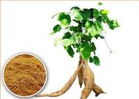 Kudzu Root Extract