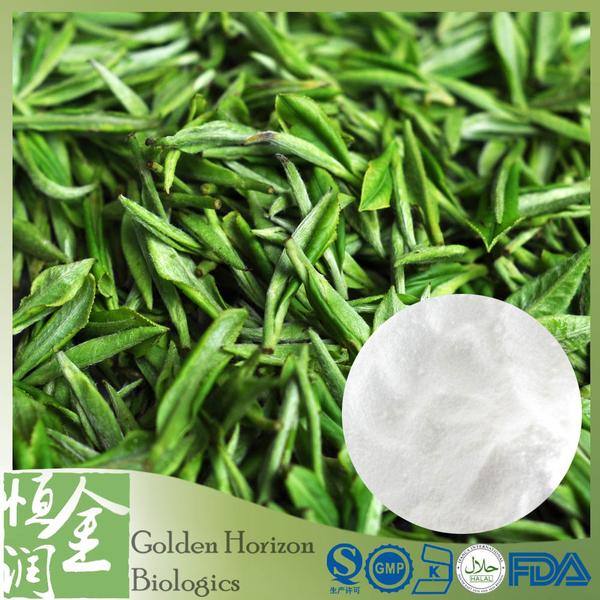 Wholesale Green Tea Extract Tea Polyphenols 