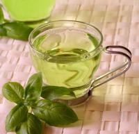L-Theanine-- Green Tea Extract
