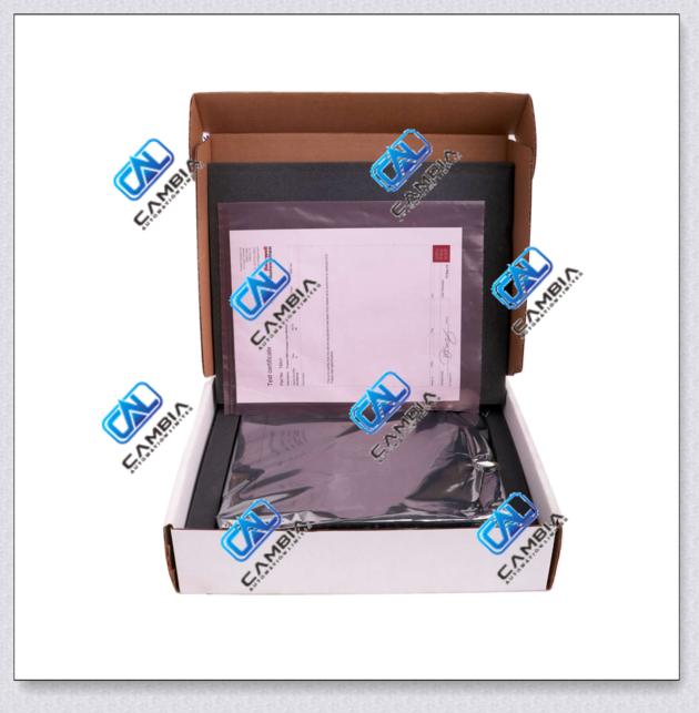 ICS	T8162 CS300 Bridge Module	