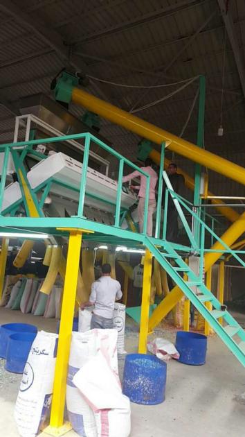 Color Sorter Machine