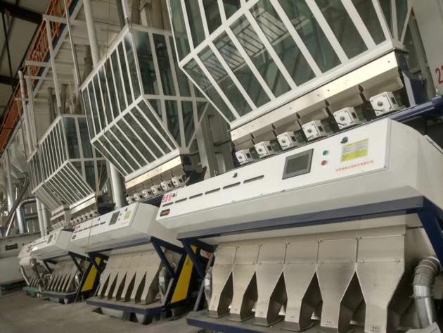 Color Sorter Machine