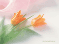 THPS,THPC,THPS-UREA,THPC-UREA