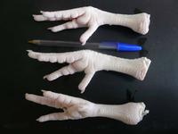 Frozen chicken, chicken feet, chicken drumstick. chicken leg quater, chicken paws, chicken wains