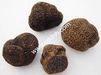 truffle