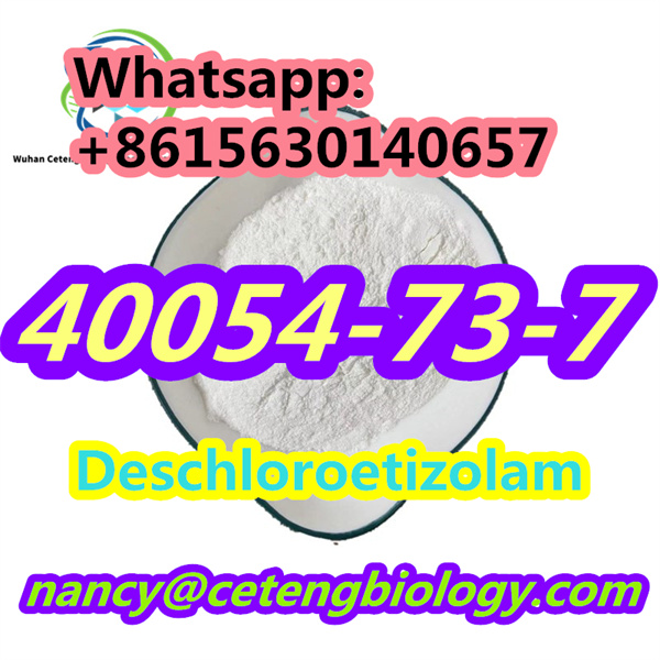 CAS40054 73 7 Deschloroetizolam