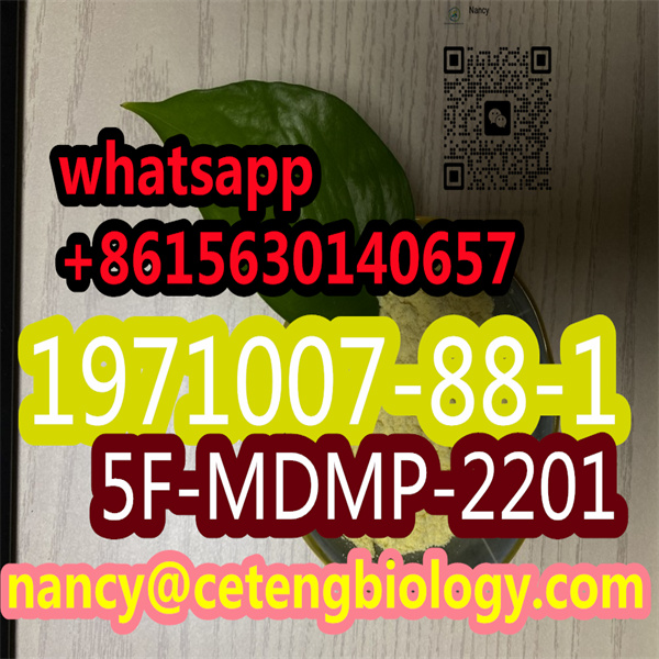 CAS1971007 88 1 5F MDMP 2201