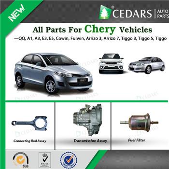 10 Years Experience Auto Parts Wholesaler Chery Auto Spare Parts