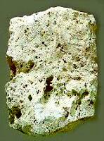 PUMICE