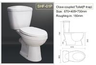 Two-Piece Toilet