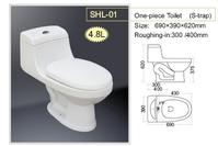 One-Piece Toilet