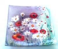 Glass plates , hand painted
