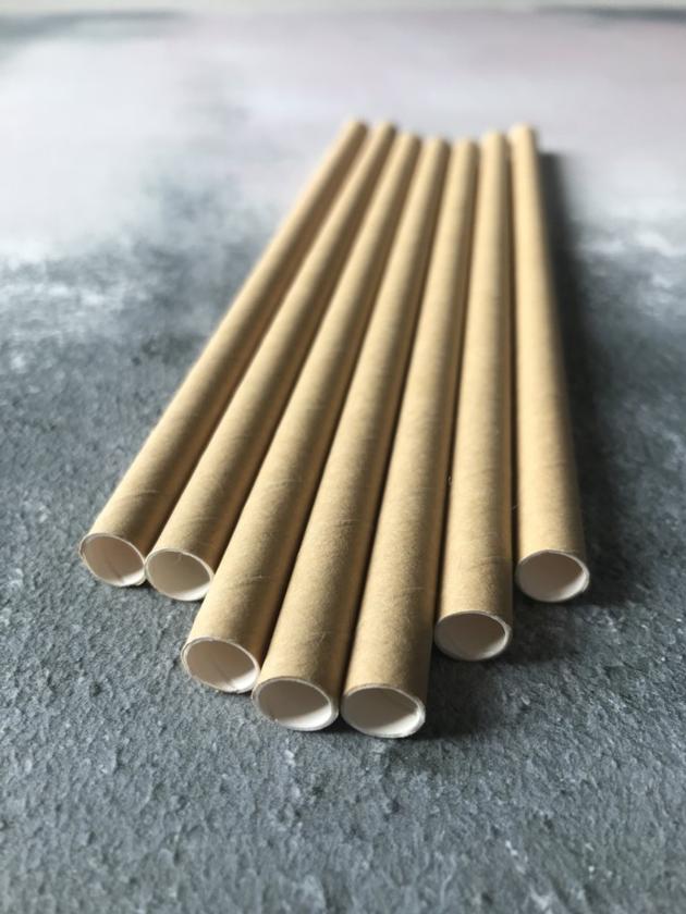 Party Biodegradable Drinking Paper Straws For