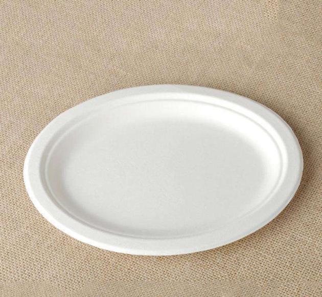Biodegradable Disposable Plate Material Sugarcane