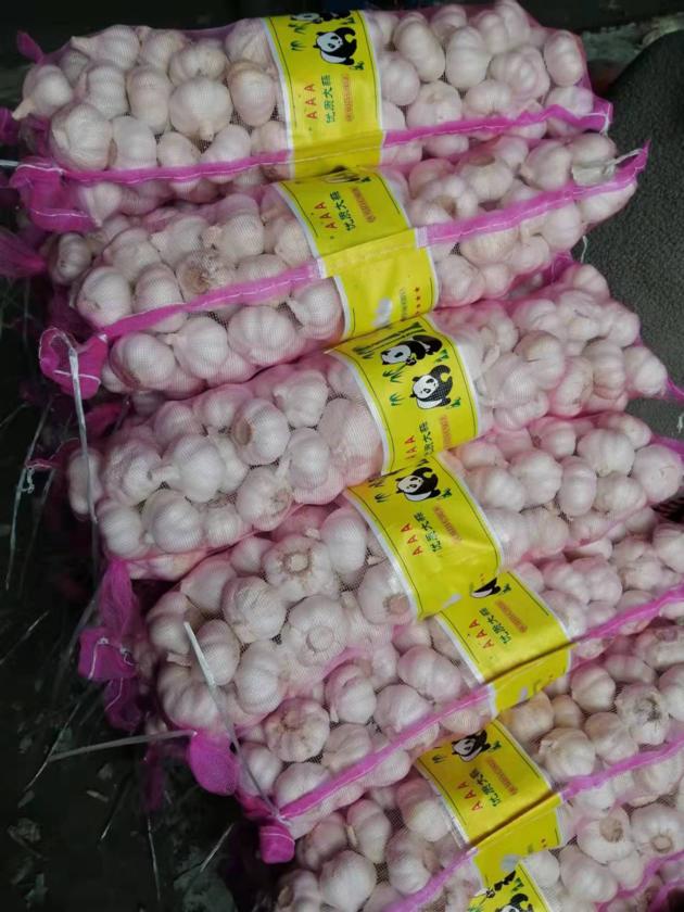 2022 new crop fresh Jinxiang garlic wholesale from China