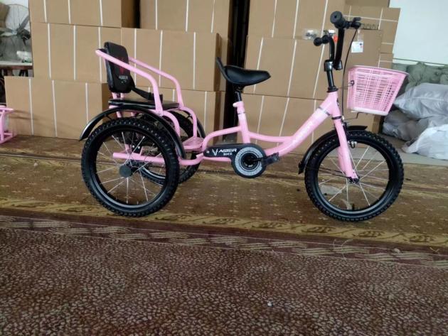 Wholesale Price China Factory Child Tricycle