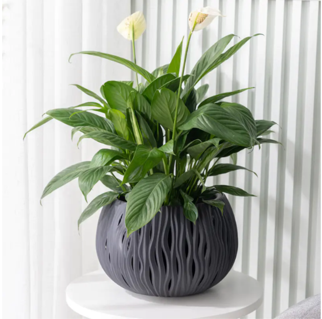   Flower pot -01 (flower arrangement)