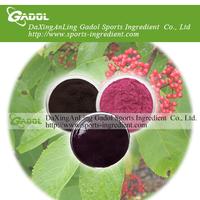 Elderberry anthocyanin
