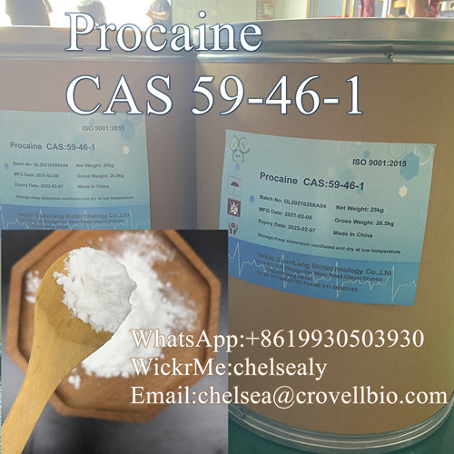 Procaine Manufacturer CAS 59 46 1
