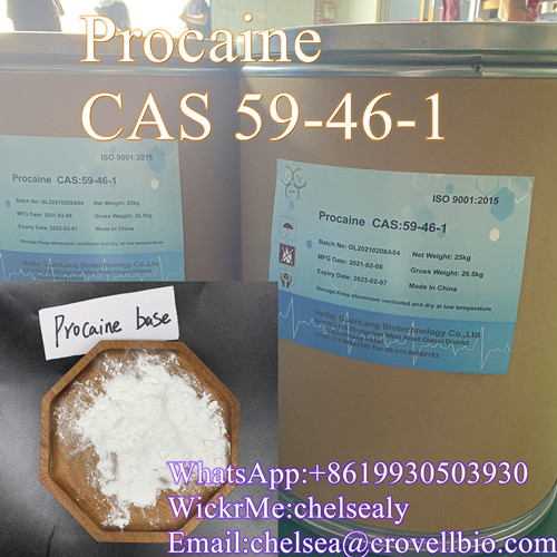 Procaine Manufacturer CAS 59 46 1