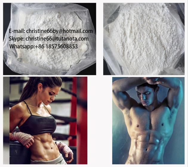 Test P Powder Body Shape Testosterone