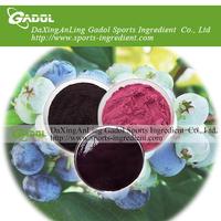 Blueberry powder