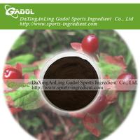 Cranberry powder