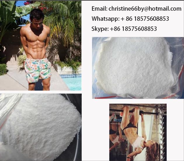 sterods Testosterone Phenylpropionate Raw Powder for Muscle Building chrisitne 1255-49-8 christine