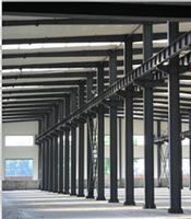 steel beam and column for the steel structure