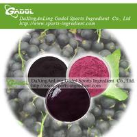 Black currant powder