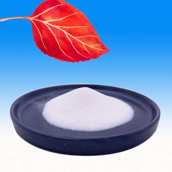 PVC processing aid ACR401