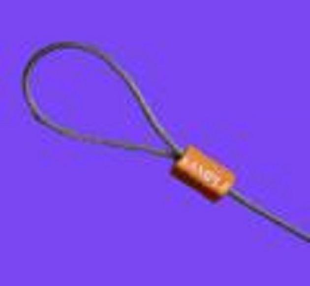 high impact container cable seal lock